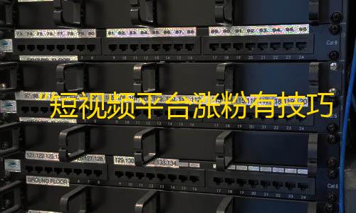 “短视频平台涨粉有技巧，想学一下？”