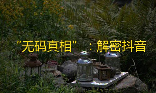 “无码真相”：解密抖音引人注目的被刷关注现象