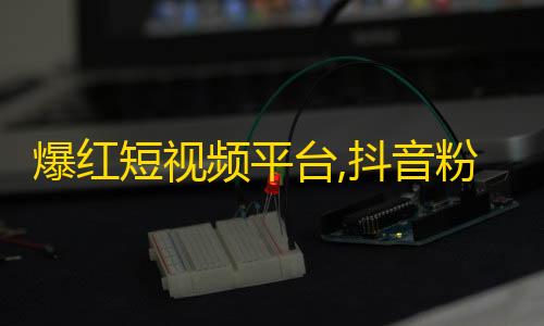 爆红短视频平台,抖音粉丝增加秘籍，30天内轻松打造10W+忠实粉丝！