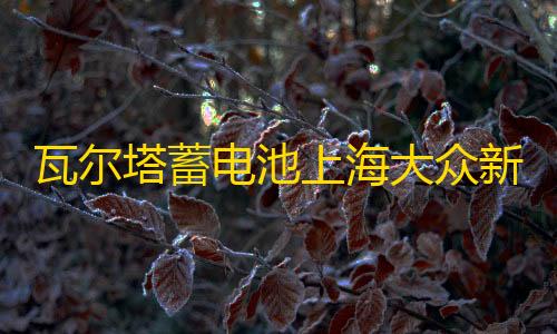 瓦尔塔蓄电池上海大众新桑塔纳途安凌渡途观帕萨特原装60AH电瓶