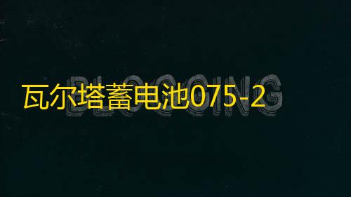 瓦尔塔蓄电池075-20适配途观迈腾帕萨特凯迪拉克汽车电瓶 银标