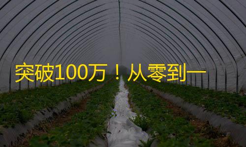 突破100万！从零到一打造抖音爆红账号，轻松刷粉丝。