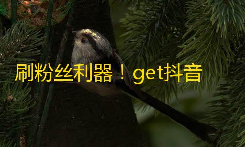 刷粉丝利器！get抖音知识盲区，快速提高流量增长！