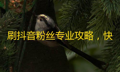 刷抖音粉丝专业攻略，快速增加关注量的方法大全！