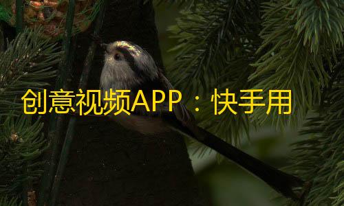 创意视频APP：快手用户增长旺盛