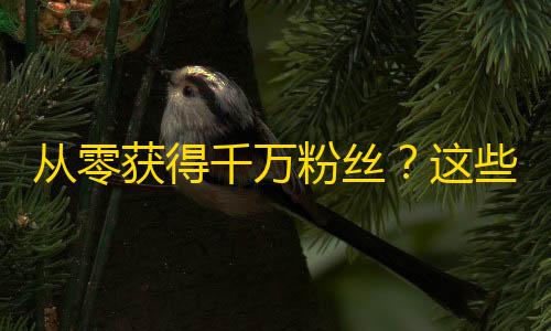 从零获得千万粉丝？这些快手技巧必须掌握！