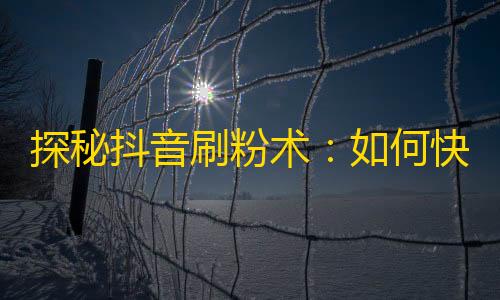 探秘抖音刷粉术：如何快速获得更多关注？