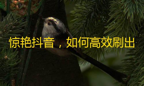 惊艳抖音，如何高效刷出真粉？