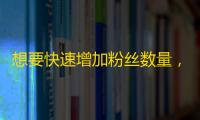 想要快速增加粉丝数量，快手刷粉丝是最好的选择