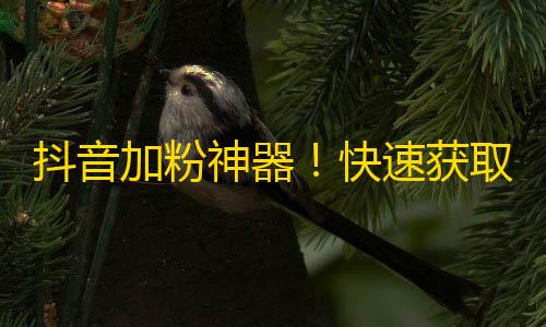 抖音加粉神器！快速获取粉丝的方法大公开！