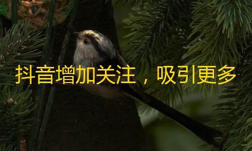 抖音增加关注，吸引更多人气的方法，你知道吗？