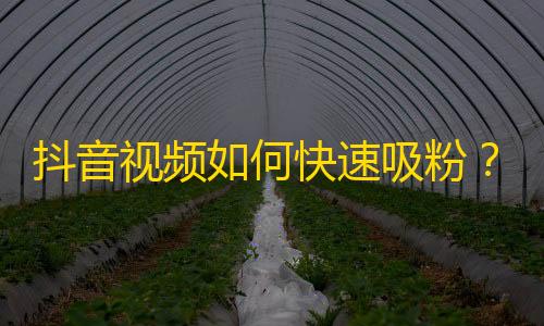 抖音视频如何快速吸粉？五个实用技巧助你成功！