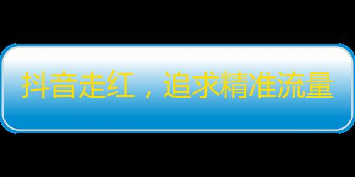 抖音走红，追求精准流量者必看！