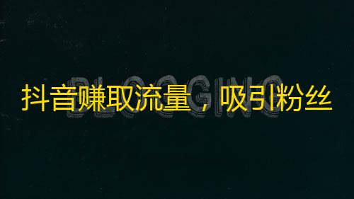 抖音赚取流量，吸引粉丝的最佳实践