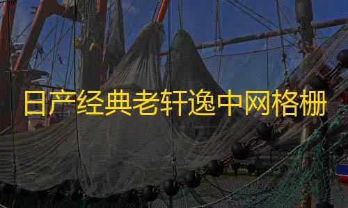 日产经典老轩逸中网格栅外观改装件爆改前脸保险杠专用装饰条配件