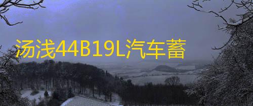 汤浅44B19L汽车蓄电池12V 40AH飞度锋范思迪理念哥瑞奥拓竞瑞电瓶