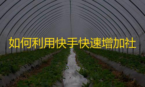 如何利用快手快速增加社交媒体粉丝？