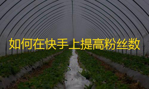 如何在快手上提高粉丝数？速成攻略来了！