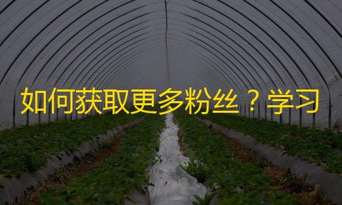 如何获取更多粉丝？学习抖音刷粉技巧！