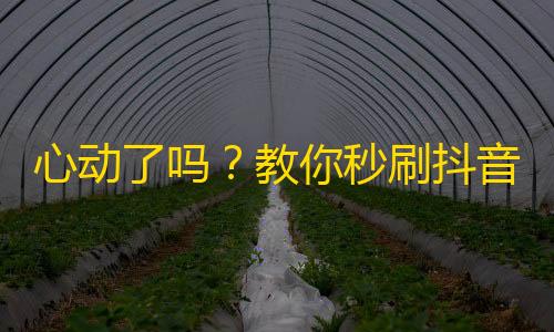 心动了吗？教你秒刷抖音粉丝！