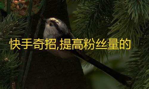 快手奇招,提高粉丝量的新办法