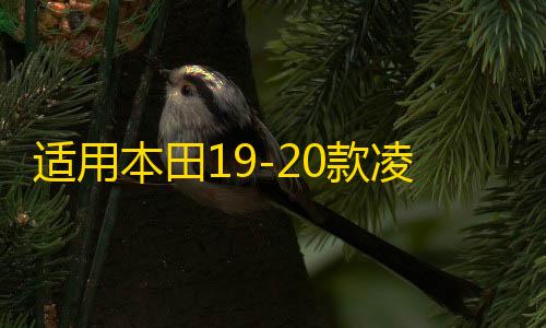 适用本田19-20款凌派高音喇叭a柱享域音响改装汽车用品装饰配件