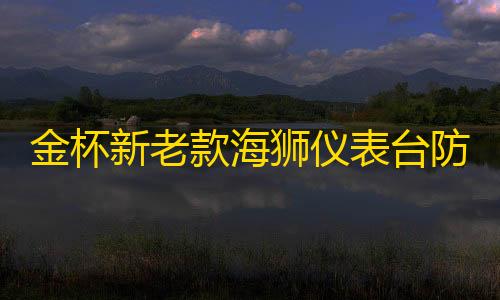 金杯新老款海狮仪表台防晒避光垫汽车中控台内饰改装专用装饰配件