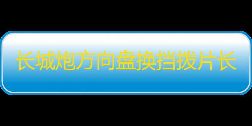 长城炮方向盘换挡拨片长城炮皮卡内饰装饰金属改装配件多色可选