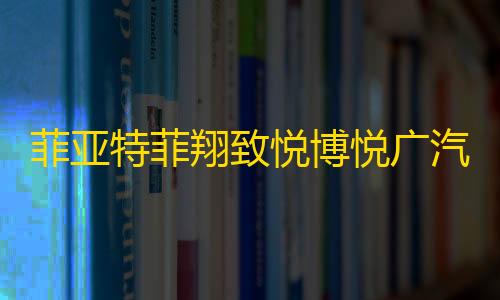 菲亚特菲翔致悦博悦广汽传祺GA3SGS4GA5原装蓄电池瓦尔塔汽车电瓶