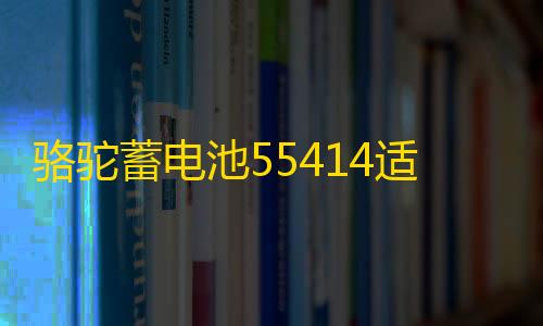 骆驼蓄电池55414适用桑塔纳2000/3000老捷达红旗汽车电瓶54AH