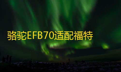 骆驼EFB70适配福特锐际/嘉年华/福睿斯科雷嘉/探界者原装启停电瓶