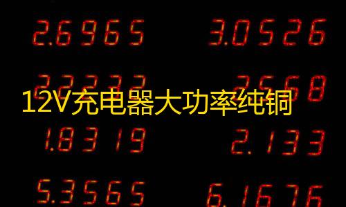 12V充电器大功率纯铜24v老式100A汽车货车家用小轿车电瓶冲充电机