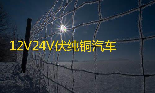 12V24V伏纯铜汽车电瓶充电器通用智能大功率农用车收割电瓶充电机