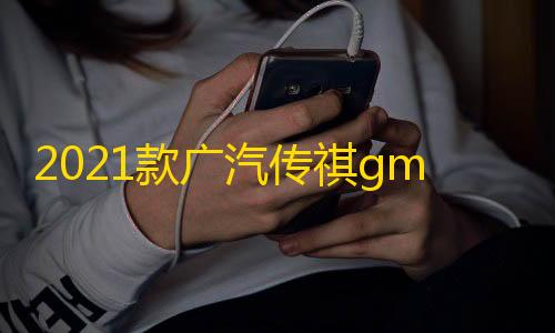 2021款广汽传祺gm6改装件M6PRO专用m6装饰中网外观前脸亮条配件