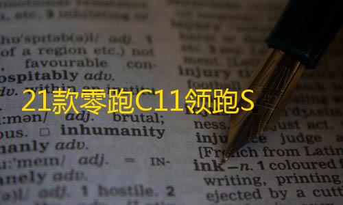 21款零跑C11领跑S01/T03汽车改装迎宾踏板不锈钢门槛条后护板配件